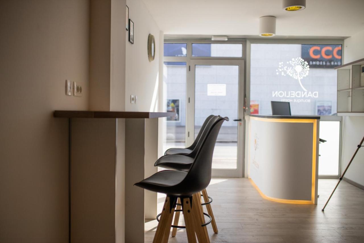 Dandelion Hostel Zára Kültér fotó